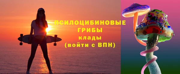 apvp Бронницы