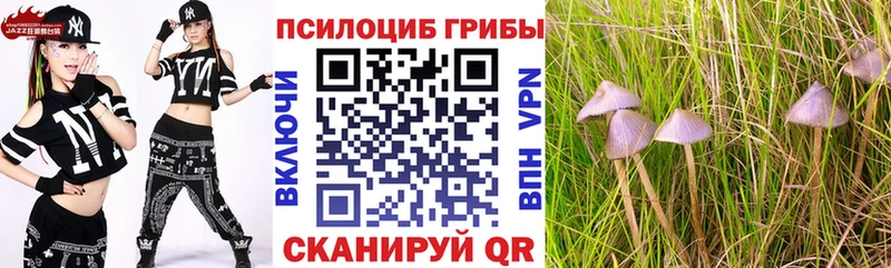Галлюциногенные грибы Magic Shrooms  купить наркотики цена  kraken   Сосногорск 